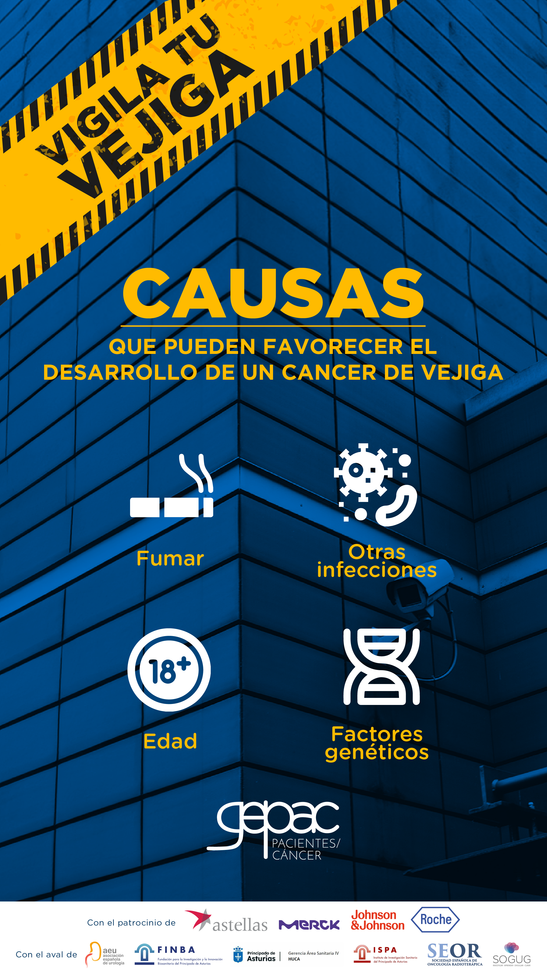 Causas - Instagram historias