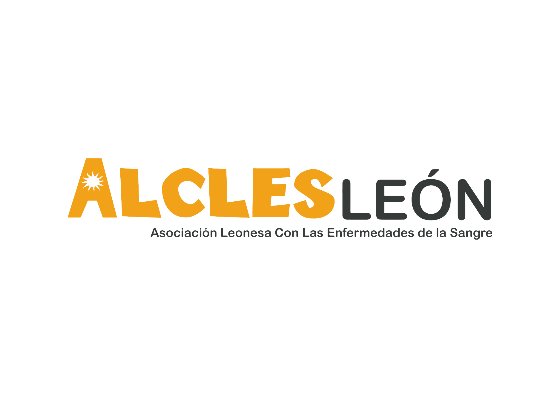 Asociación De Lucha Contra La Leucemia Y Enfermedades De La Sangre De León