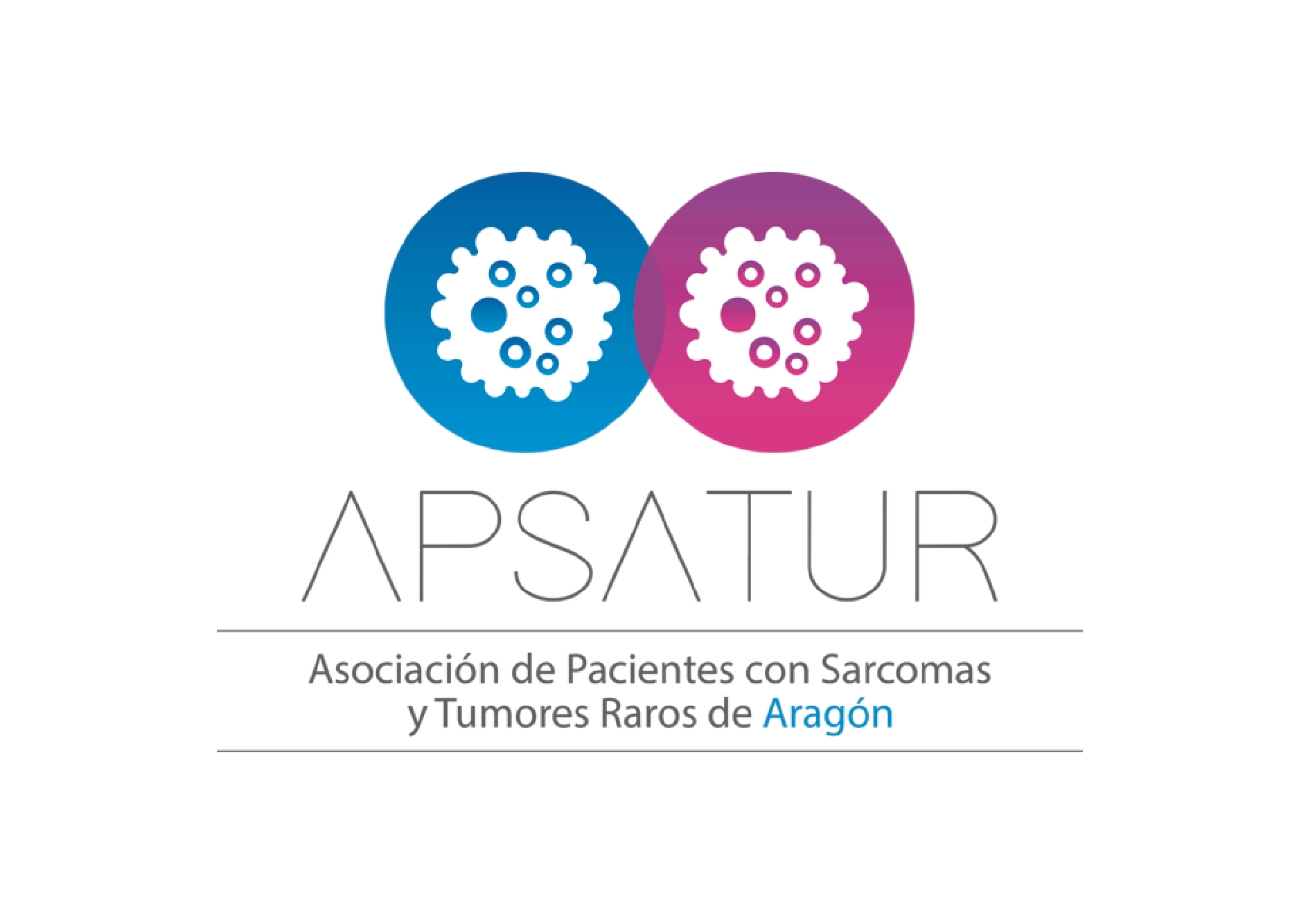 APSATUR ARAGÓN 