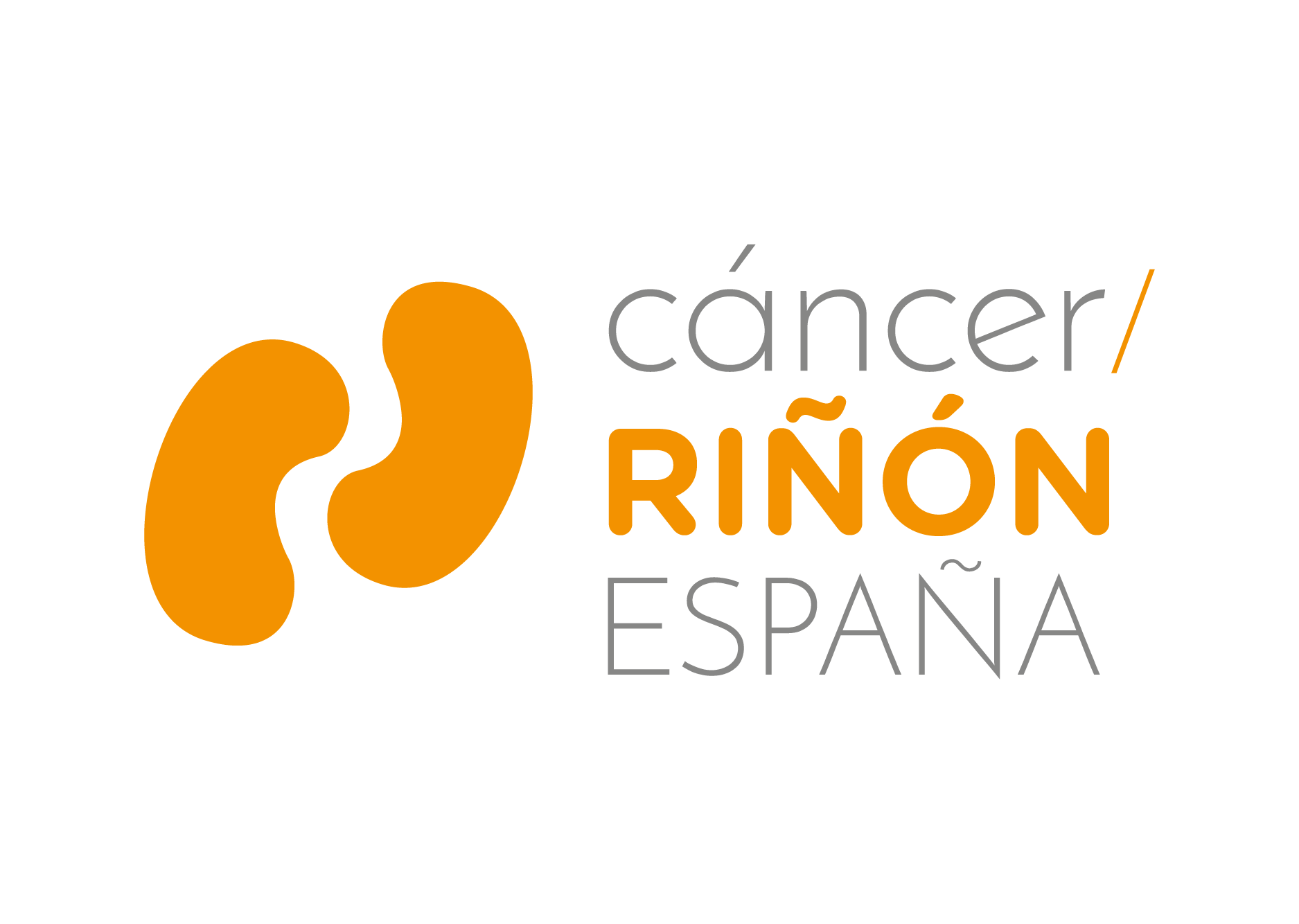 División Cáncer de Riñón España