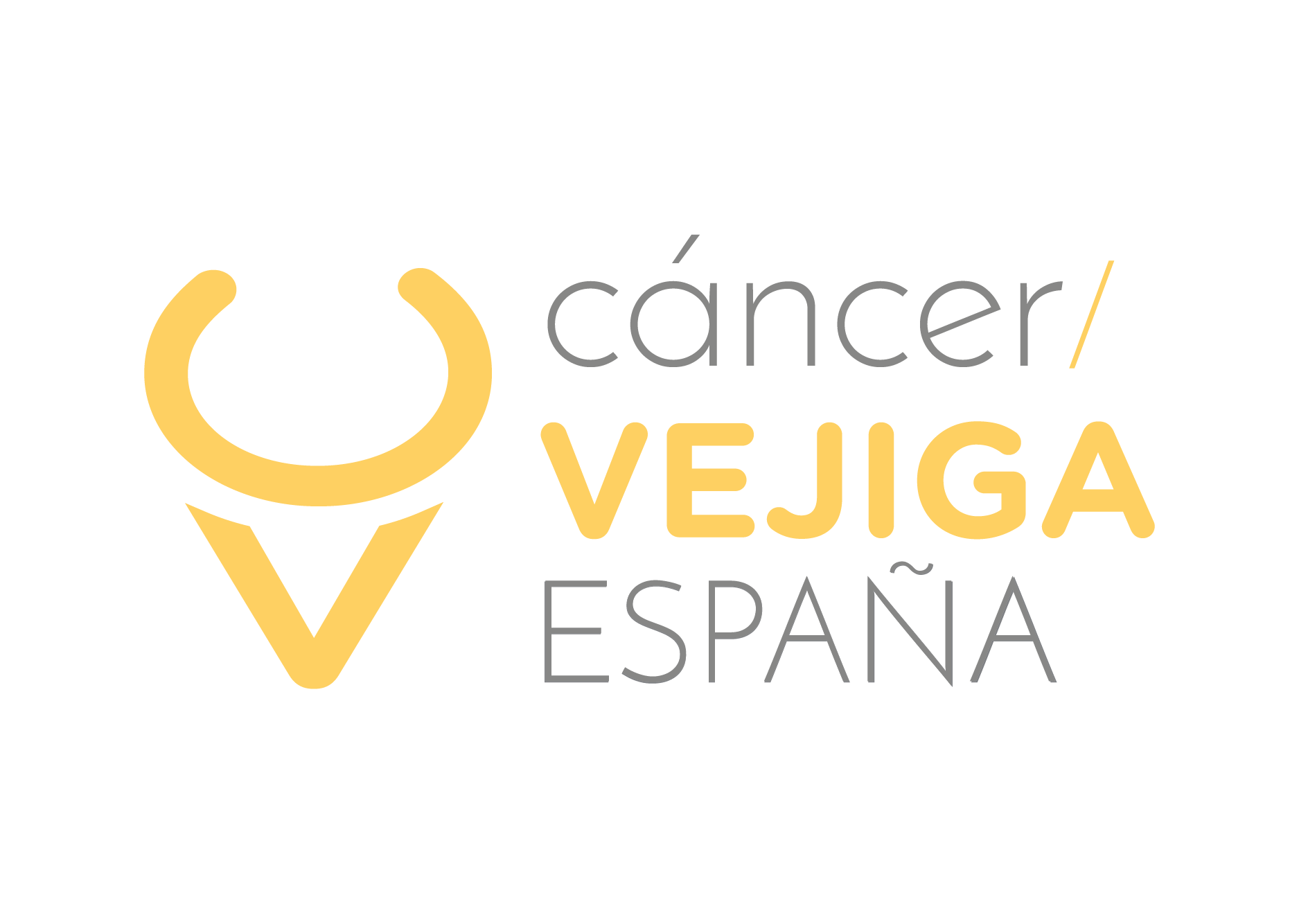 División Cáncer de Vejiga España